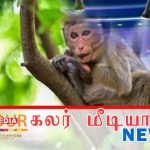 படலந்த ஆணைக்குழுவின் அறிக்கை இன்று பாராளுமன்றத்தில் சமர்ப்பிக்கப்படவுள்ளது